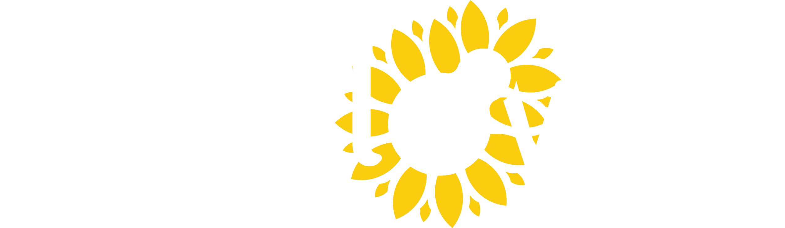 Sunflower Therapeutics logo